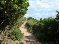 Cap Corse - Wanderweg