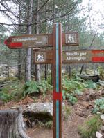 Col de la Bavella - immer auf dem richtigen Weg