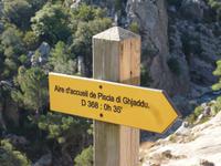 Forêt de l'Ospédale