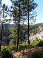 Nationalpark Wanderweg zum Wasserfall