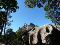 Forêt de l'Ospédale
