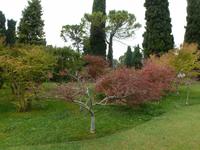 Italien am Gardasee Parco Sigurtá