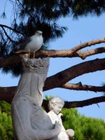 Cannes, Burgberg mit Muttergottes