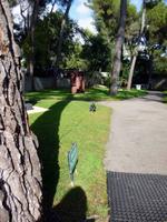 St. Paule de Vence, Maeght Foundation