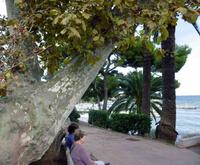 Beaulieu sur Mer, Ameisenbucht