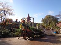 Schöner Schmuck zur Erntezeit im Disneyland Paris