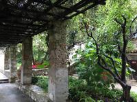 023Park in Nizza-Cimiez