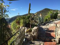 440Jardin Exotique von Èze