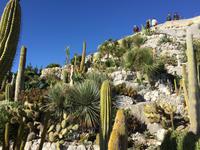 445Jardin Exotique von Èze