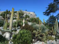 466Jardin Exotique von Èze