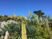 467Jardin Exotique von Èze