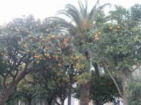 02_Stadtführung in Nizza (5)