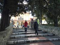 114Spaziergang in Cimiez