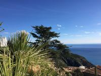 241Jardin Exotique von Èze