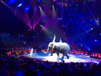 409Familie Errani und ihre Elefanten (Bronze)