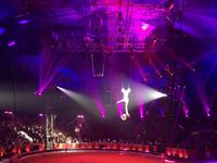 417Gold für PAS DE DEUX AÉRIEN des Nationalzirkus von Pyongyang