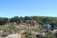 Fotostopp Desert des Agriates