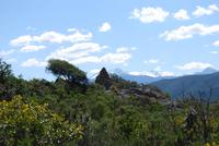 Steinhügel Desert des Agriates