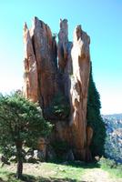 Felsformation Calanches de Piana