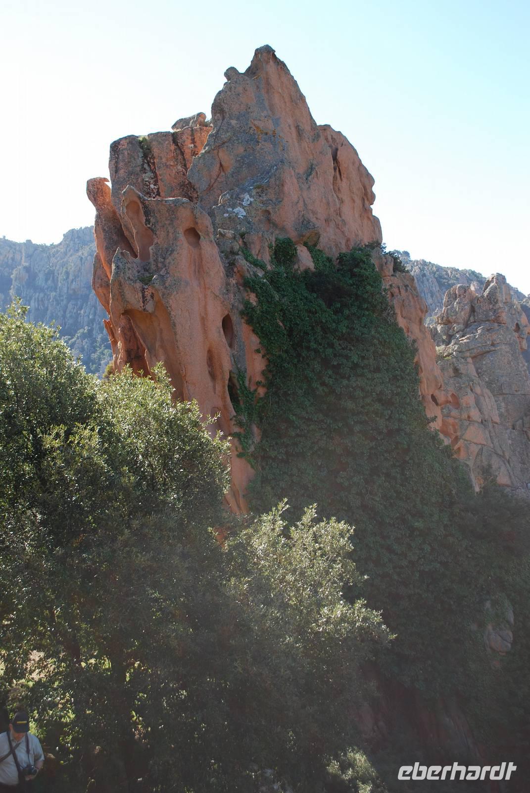 Felsformation Calanches de Piana