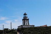 Leuchtturm Bonifacio