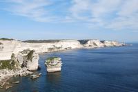Kreidefelsen Bonifacio