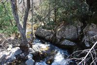 Gebirgsbach Alta Rocca