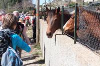 Wanderung Alta Rocca
