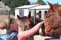 Wanderung Alta Rocca
