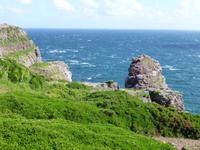 Cap Frehel - Fauconniere Felsen