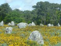 Erdeven - Steinreihen von Kerzerho 