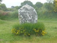 Erdeven - Steinreihen von Kerzerho 