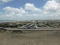 Cancale - Austernbänke in Bucht