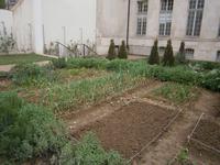 Kräutergarten im Marais