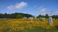 Carnac - Menhirfeld Kermario