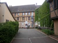 Blick in den Eingangsbereich des Naturhistorischen Museums von Colmar