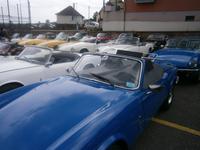 Viele Typen und Farben waren zu sehen