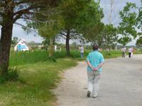 Hütte in der Camargue