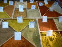 Gewürze auf dem Markt in Arles