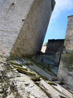 Gräber in Montmajour