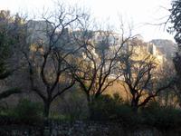 Blick auf Les Baux in den Alpillen