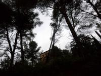 Chateau Noir, Tholonetroute