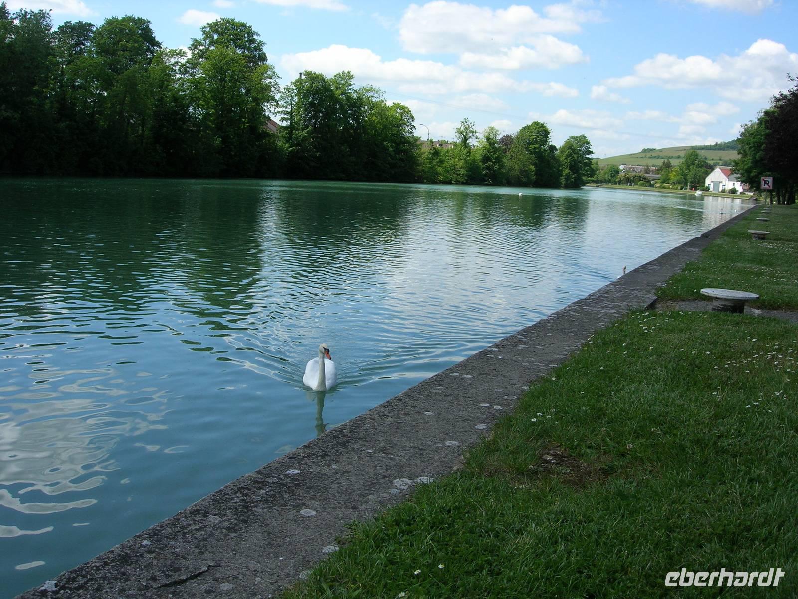 Freitag, 22.5.2015, Chateau-Thierry, Marneufer