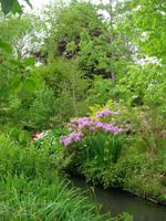 Samstag, 22.5.2015 Giverny, Fondation Claude Monet, Wassergarten