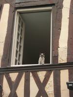 Pfingstsonntag, 24.5.2015, Rouen