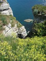 Pfingstmontag, 25.5.2015 Etretat