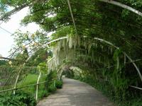 Dienstag, 26.5.2015 Cambremer, Jardins du Pays d'Auge