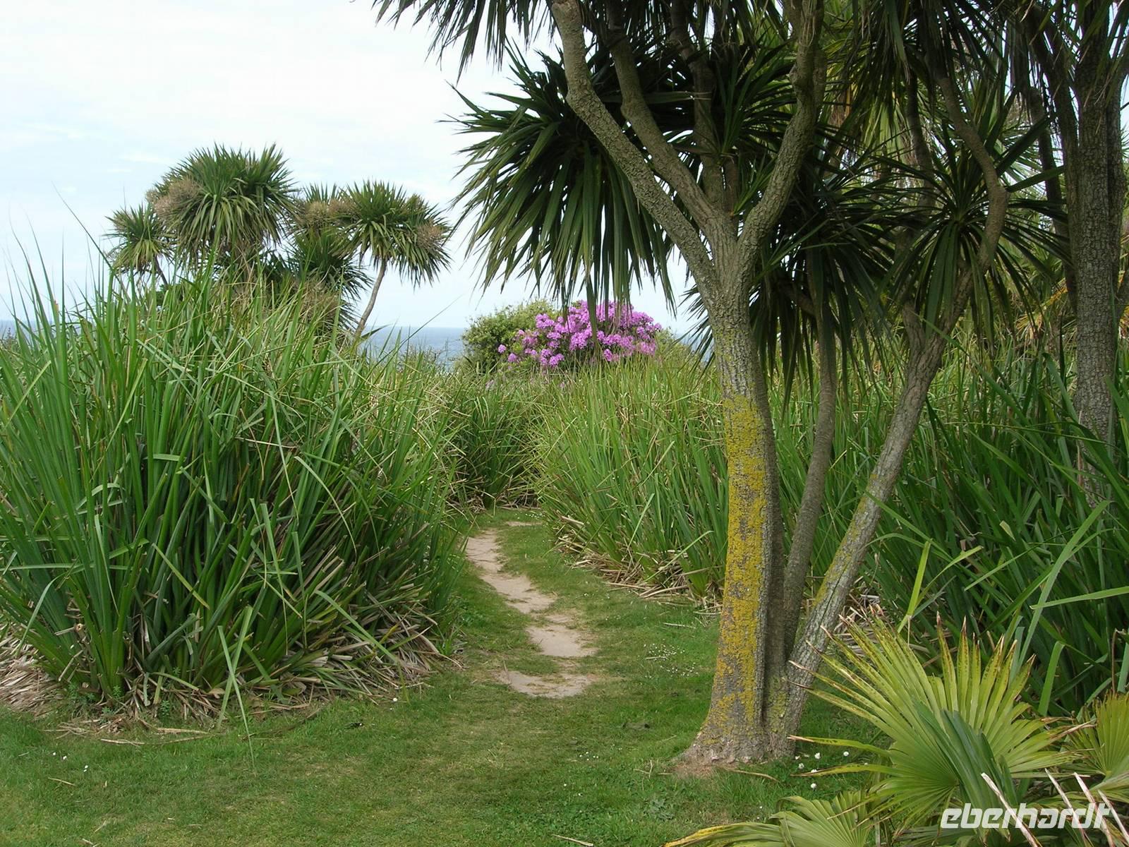 Donnerstag, 28.5.2015 Chateau de Vauville, Botanischer Garten