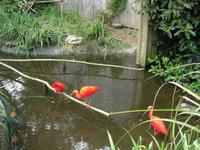 Donnerstag, 28.5.2015 Camprépus, Parc Paysager et Zoologique