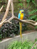 Donnerstag, 28.5.2015 Camprépus, Parc Paysager et Zoologique